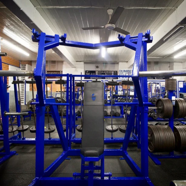 Wide shot of the training floor, with a blue chest press machine in front of racks of plates