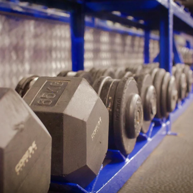 Close up of heavy hex dumbbells on a royal blue steel rack