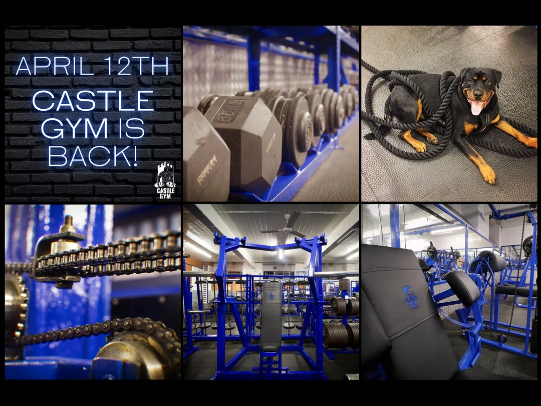 Castle Gym reopening grid: neon announcement, blue dumbbell racks and the gym dog
