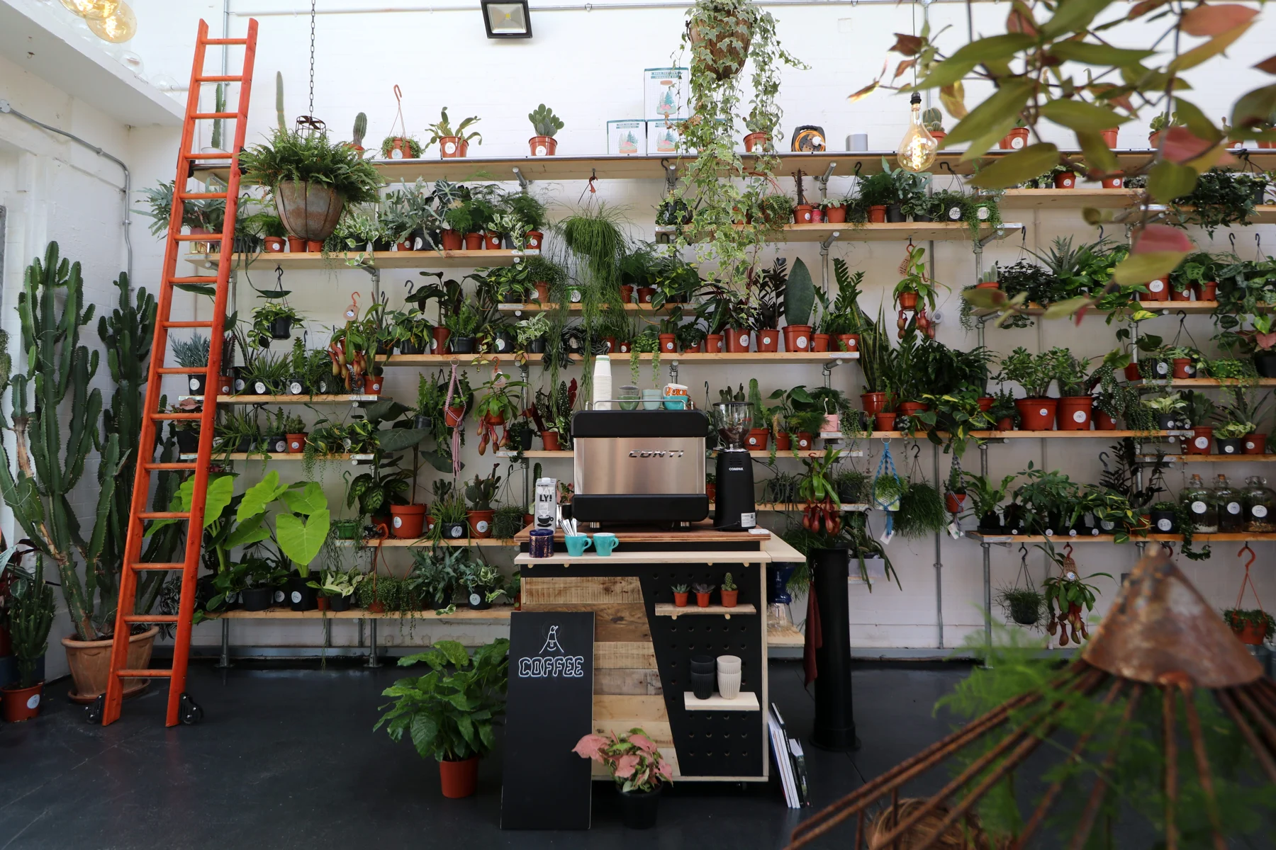 Wide shot of the Lono Espresso coffee cart in a plant shop: an espresso machine on a wooden cart, a coffee chalkboard, an orange ladder and floor to ceiling shelves of plants