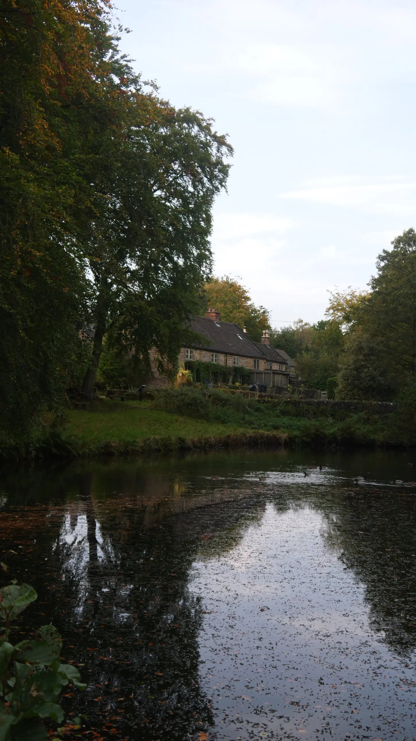 Autumn pond reflecting old stone cottages and orange trees