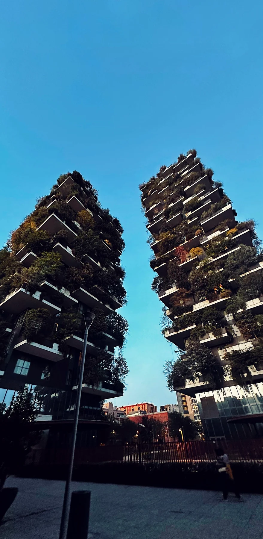 Looking up at the two Bosco Verticale towers in Milan, their balconies covered in trees, against a clear blue sky